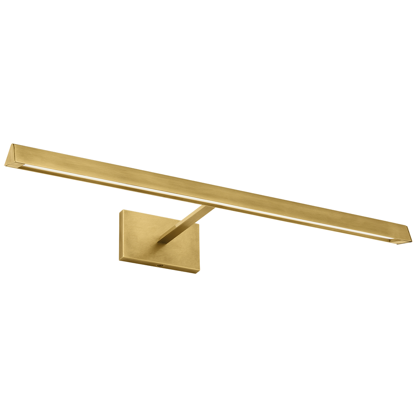 Dessau 24 Picture Light in Natural Brass