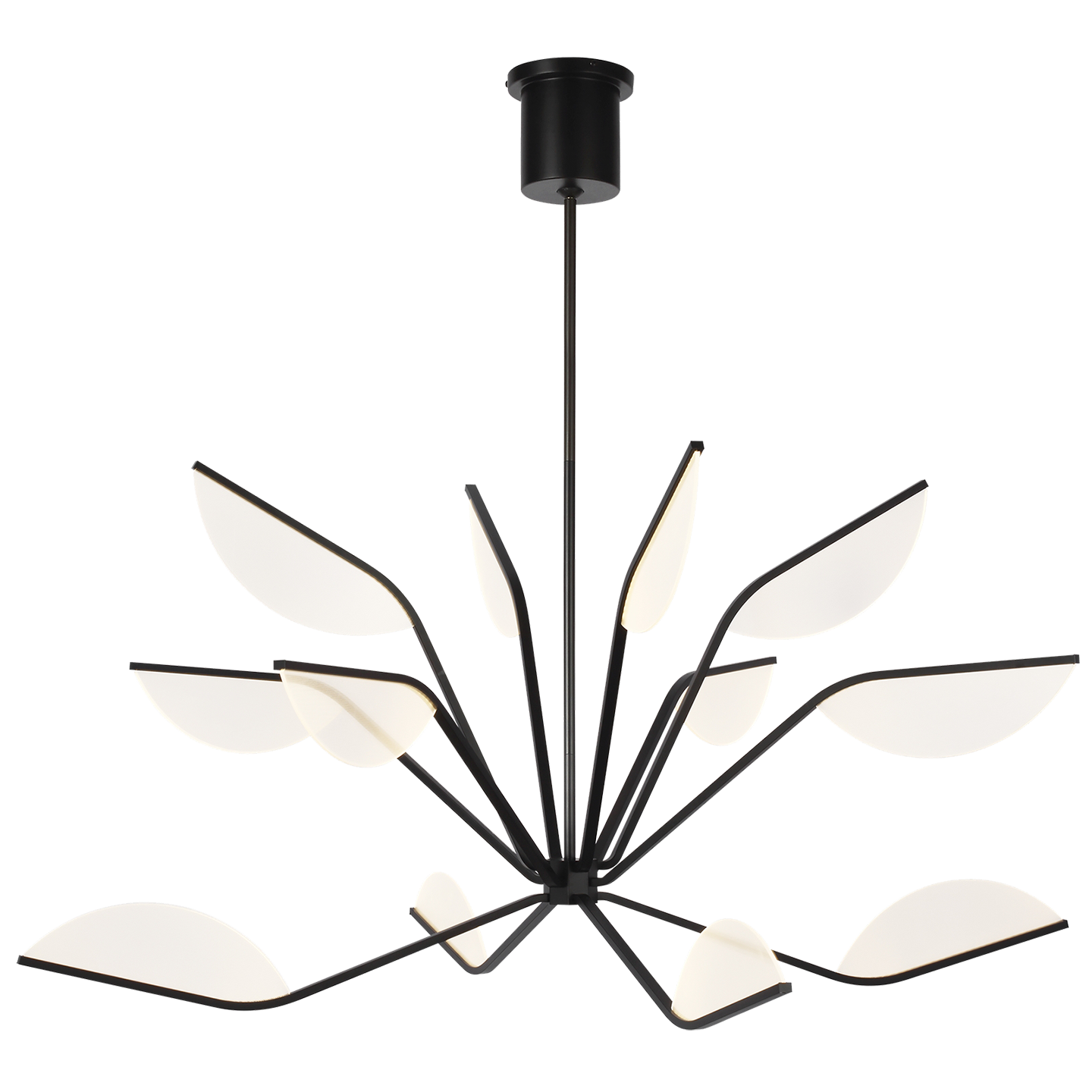 Belterra 48 Chandelier in Matte Black