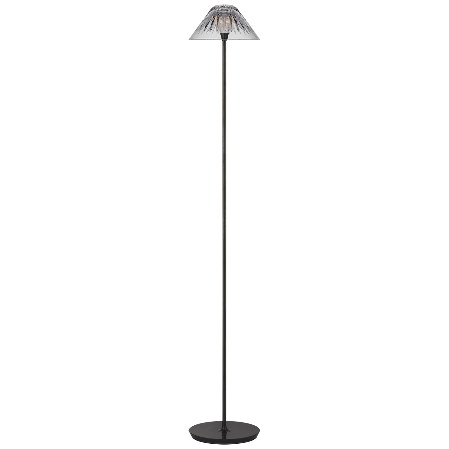 Blaze 55" Floor Lamp in Bronze with Clear Crystal