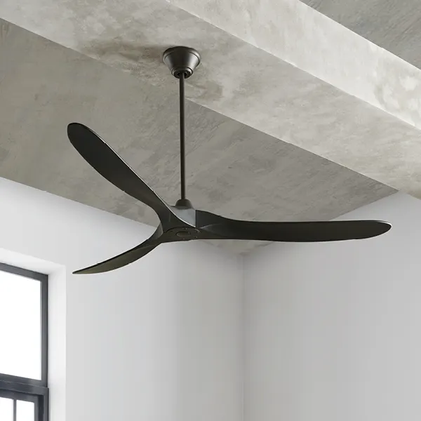 Get Inspired: FANS